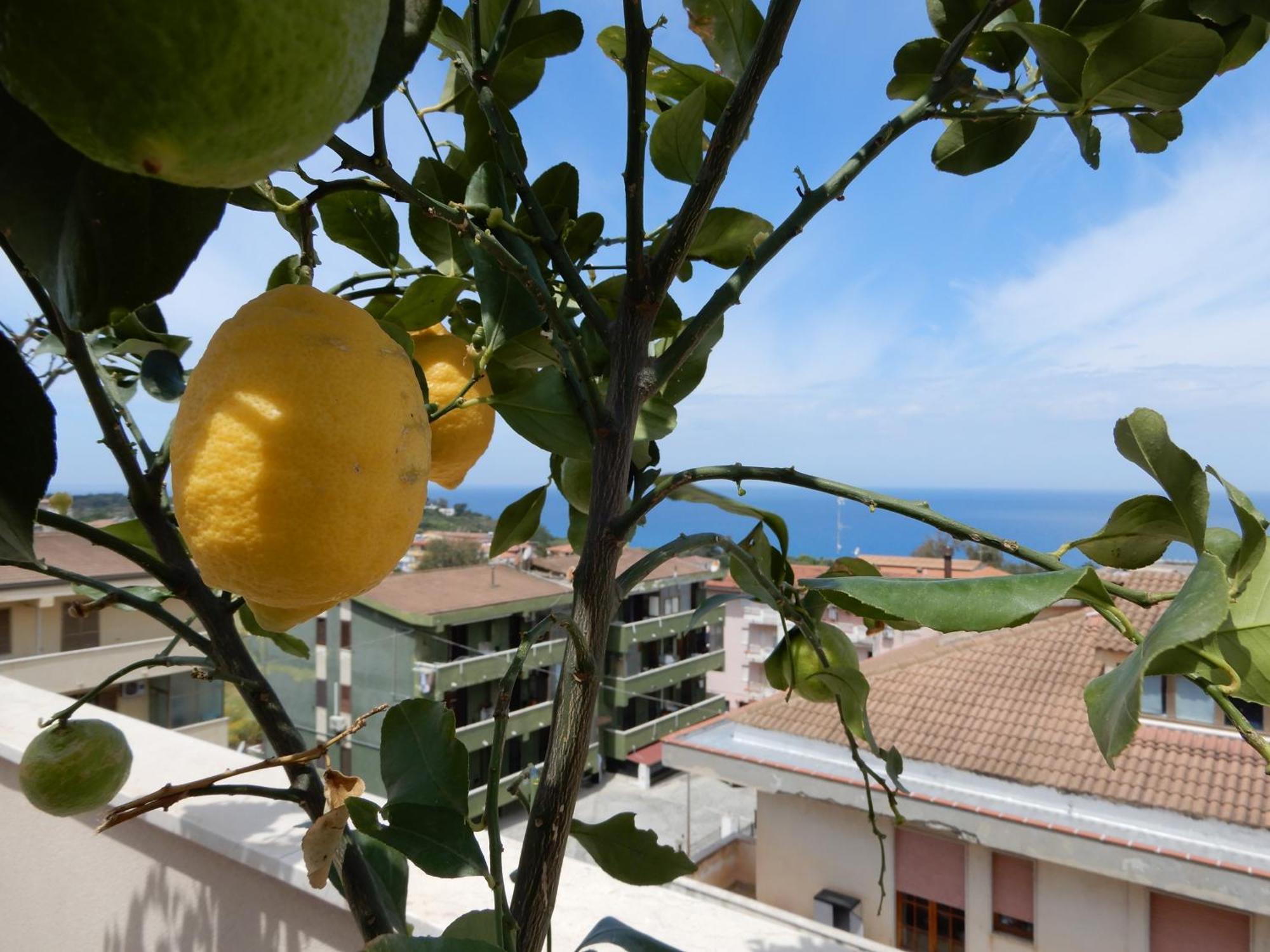 Middle Town Palace Tropea Exterior photo